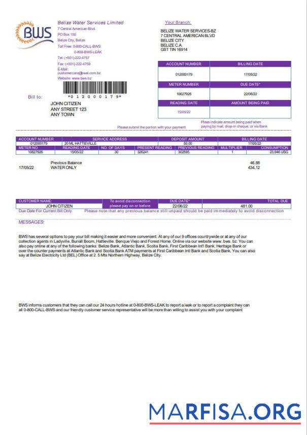 Printable Belize Water Services Limited utility bill template in Word and PDF format